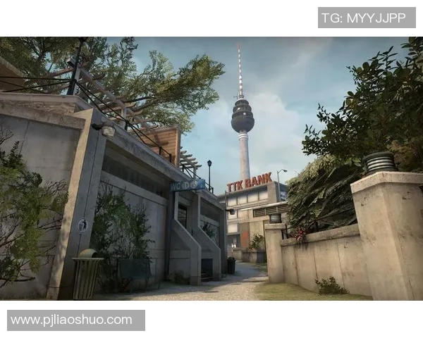 揭秘陈娜成功之道探讨CSGO背后的策略与心路历程实时数据