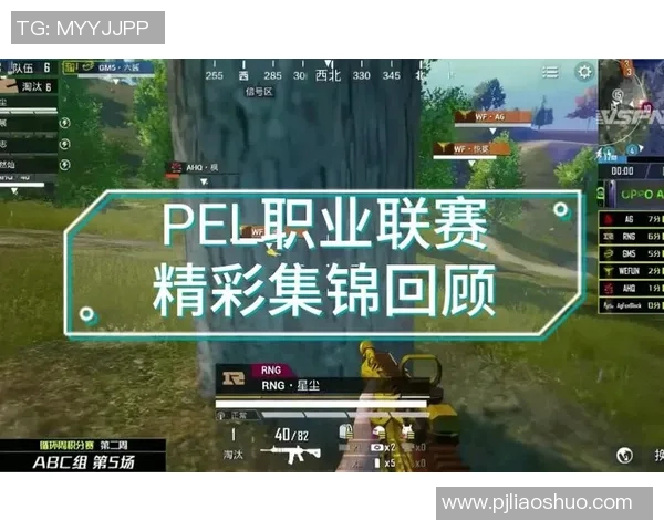和平精英赛事分析RNG战队灵活战术与应变能力的深度探讨实时新闻